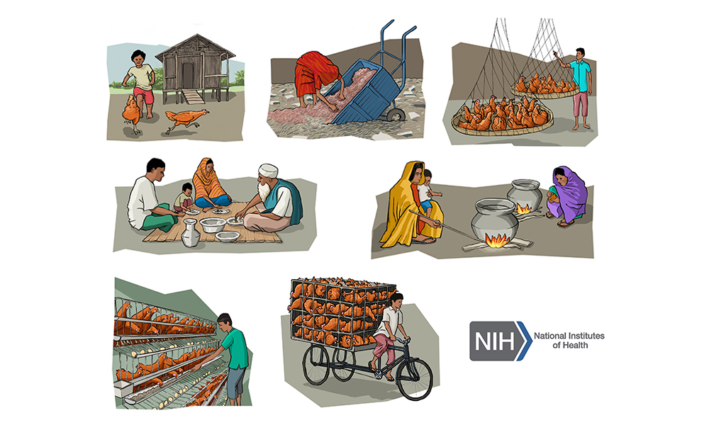 Bangladesh – situação de risco